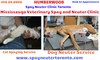 Mississauga Veterinary Spay And Neuter Clinic Image